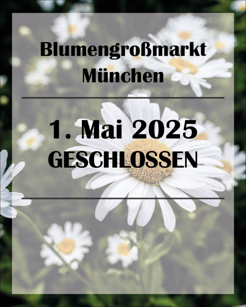 1.Mai
